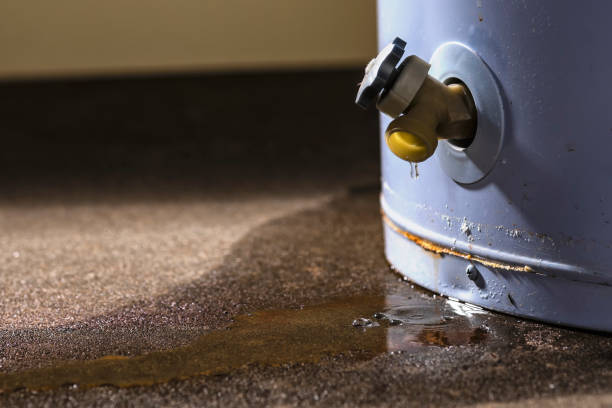 Best Flood damage cleanup  in Stanley, VA