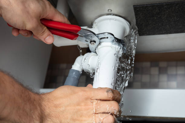 Best Water damage restoration mold remediation  in Stanley, VA