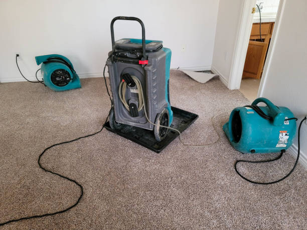Best Carpet water damage restoration  in Stanley, VA