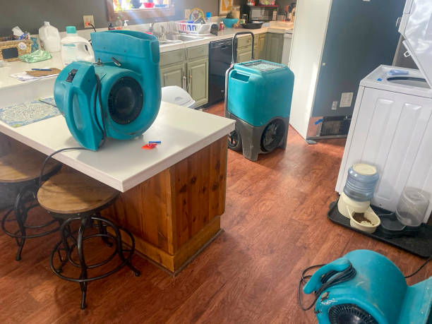 Best Water damage restoration mold remediation  in Stanley, VA