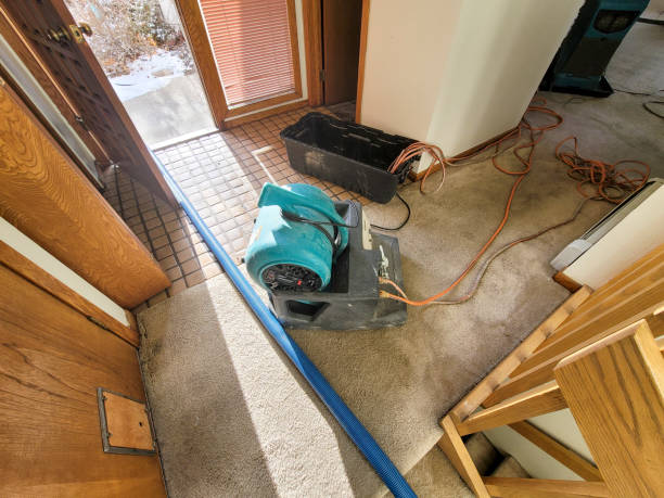 Water damage restoration mold remediation in Stanley, VA