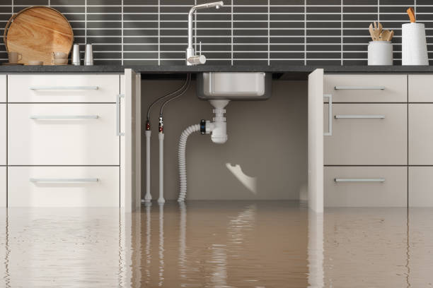 Best Water damage restoration process  in Stanley, VA