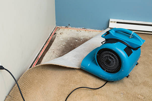 Professional Water damage restoration in Stanley, VA